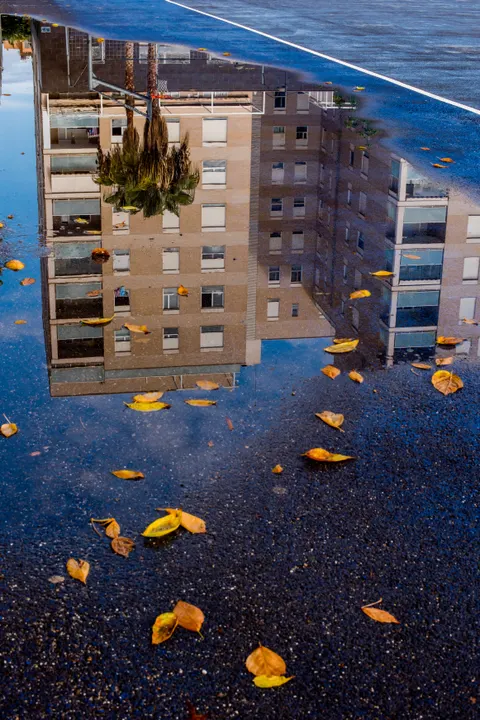 Rain Puddle Phone Wallpaper · rain · 1440×2158
