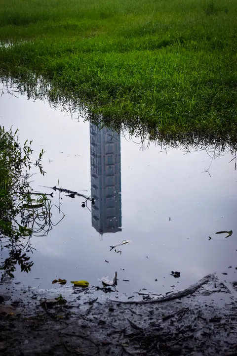Rain Puddle Phone Wallpaper · rain · 1440×2160