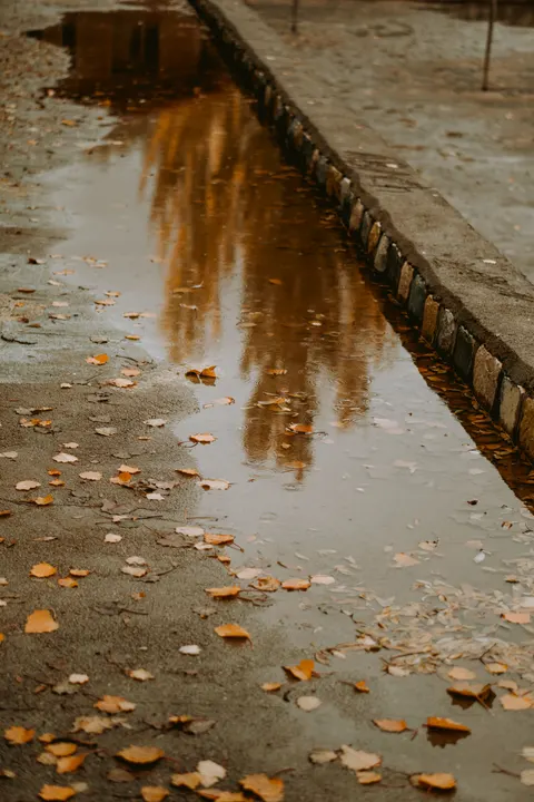 Rain Puddle Phone Wallpaper · rain · 1440×2160