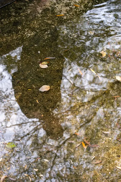 Rain Puddle Phone Wallpaper · rain · 1440×2160