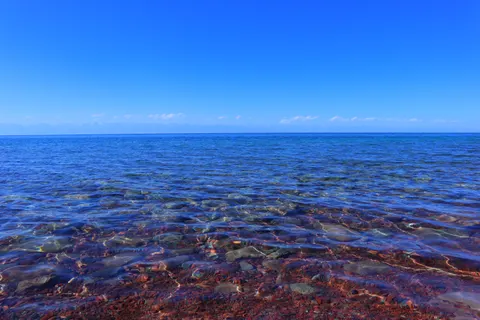 맑은 석호 4K 배경화면 · ocean · 3840×2560