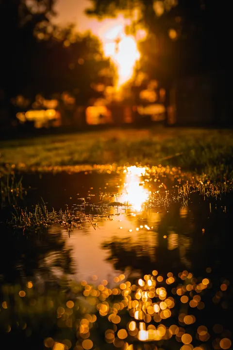 Rain Puddle Phone Wallpaper · rain · 1440×2160