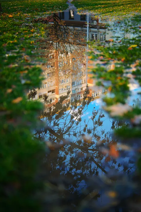 Rain Puddle Phone Wallpaper · rain · 1440×2164
