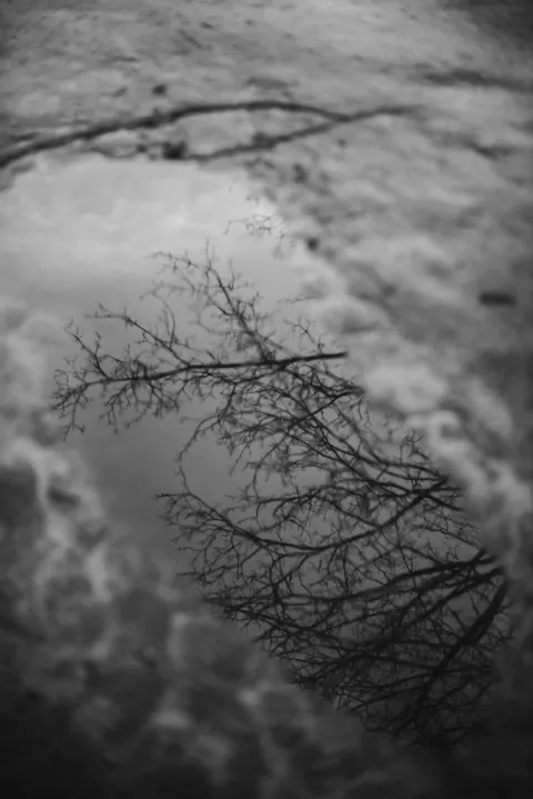 Rain Puddle Phone Wallpaper · rain · 1440×2157