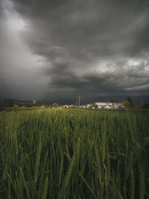 Rain Storm Phone Wallpaper · rain · 1440×1920