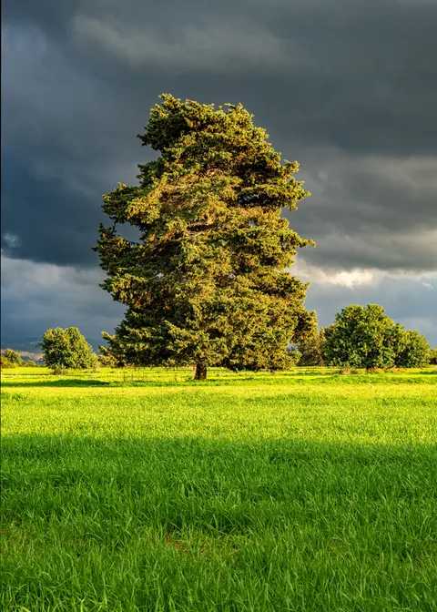 Rain Storm Phone Wallpaper · rain · 1440×2016