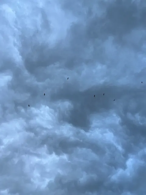 Rain Storm Phone Wallpaper · rain · 1440×1920