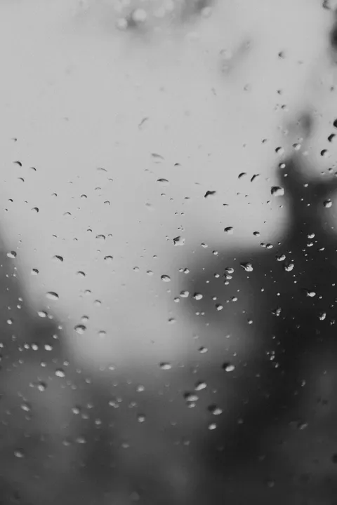 Rain Window Phone Wallpaper · rain · 1440×2160
