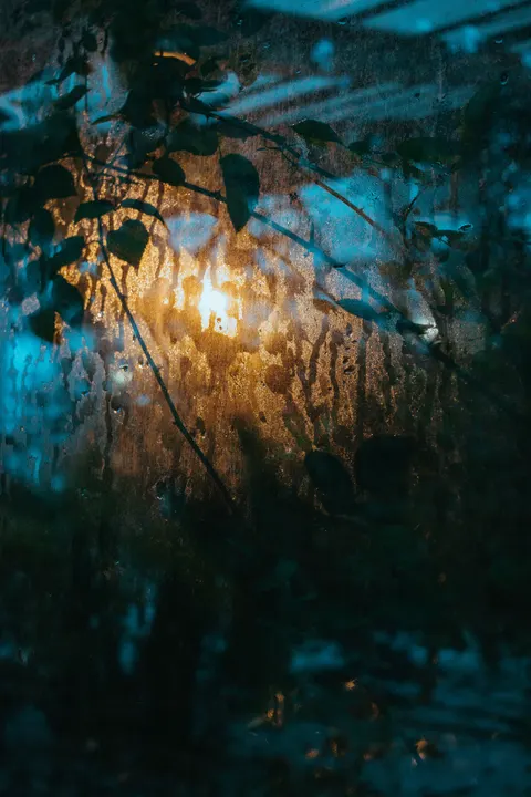 Rain Window Phone Wallpaper · rain · 1440×2160