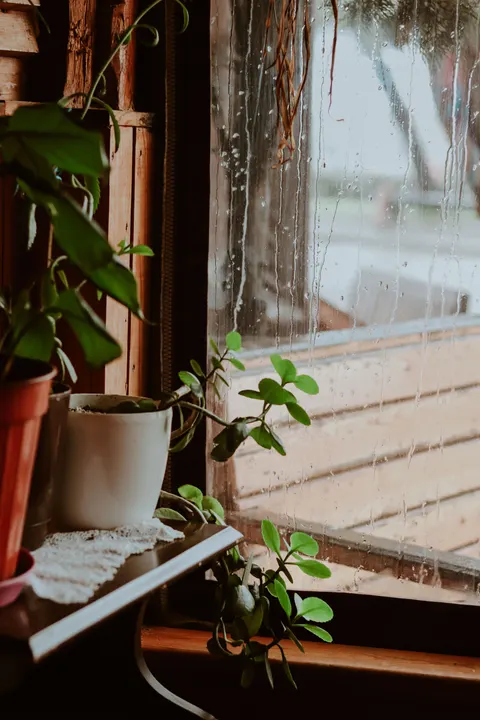 Rain Window Phone Wallpaper · rain · 1440×2160