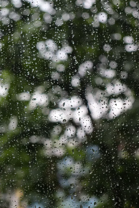 Rain Window Phone Wallpaper · rain · 1440×2160