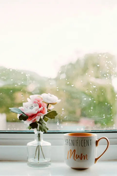 Rain Window Phone Wallpaper · rain · 1440×2160