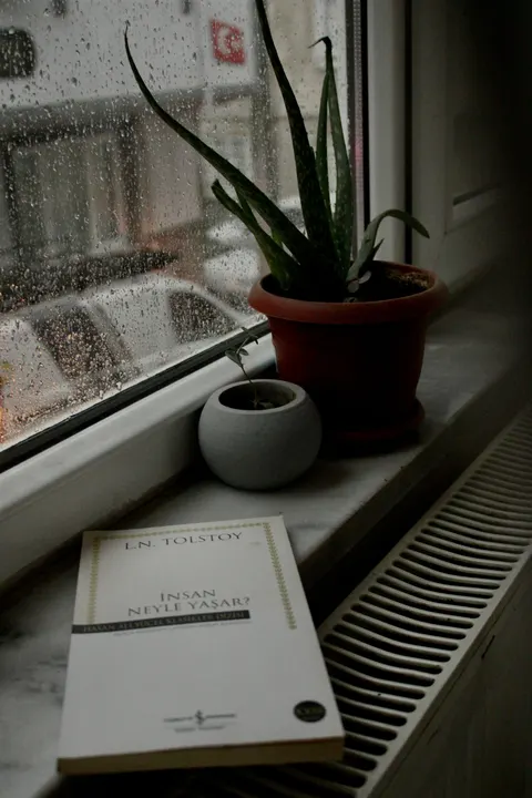Rain Window Phone Wallpaper · rain · 1440×2160