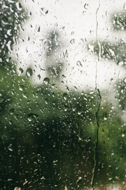 Rain Window Phone Wallpaper · rain · 1440×2160