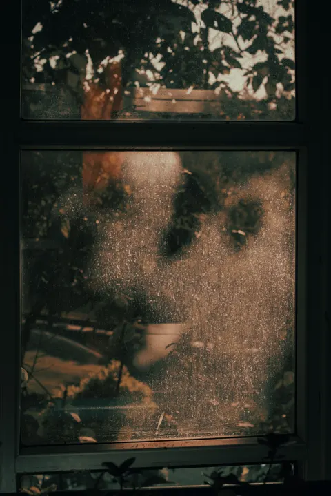 Rain Window Phone Wallpaper · rain · 1440×2160