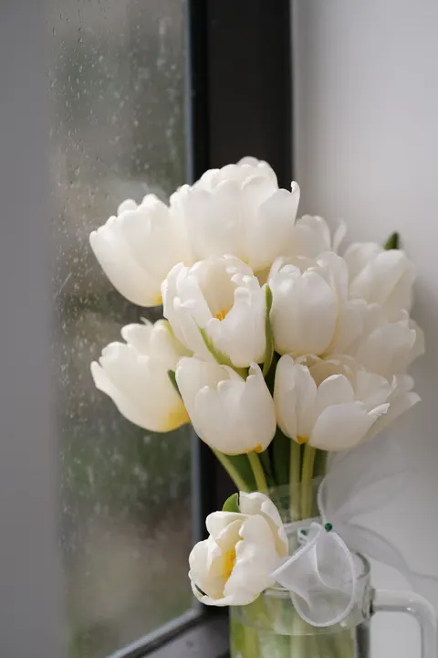 Rain Window Phone Wallpaper · rain · 1440×2160