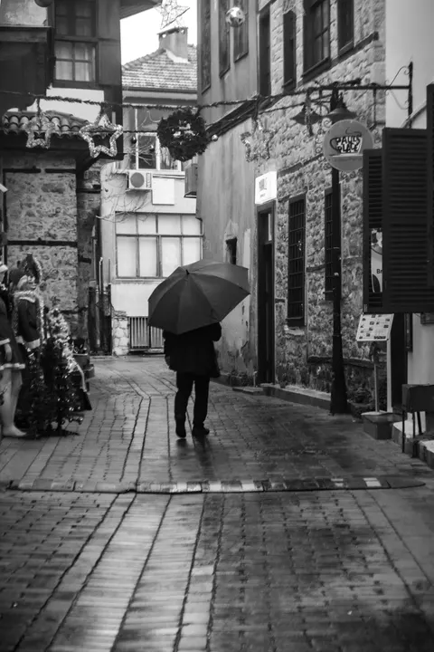 Rain Street Phone Wallpaper · rain · 1440×2160