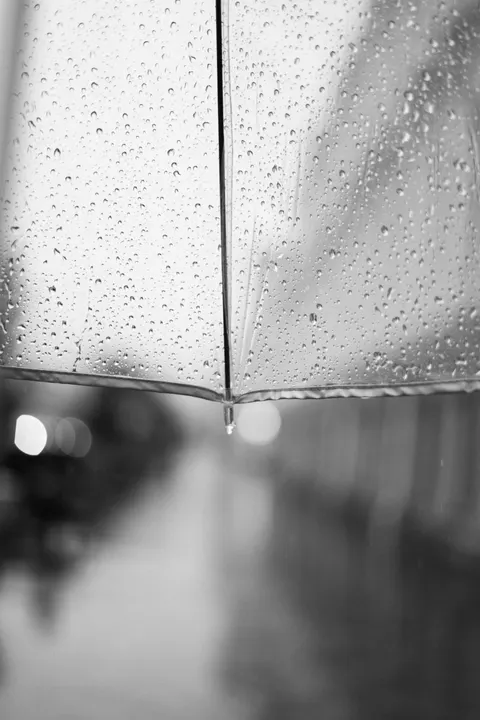 Rain Street Phone Wallpaper · rain · 1440×2160