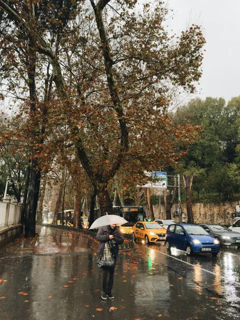 Rain Street Phone Wallpaper · rain · 1440×1920