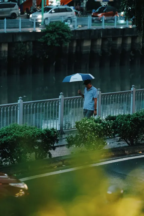 Rain Street Phone Wallpaper · rain · 1440×2160