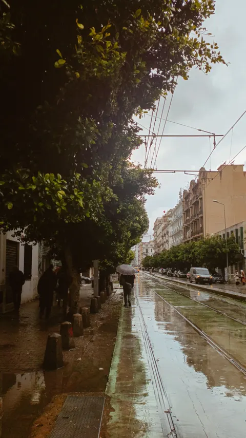 Rain Street Phone Wallpaper · rain · 1440×2560