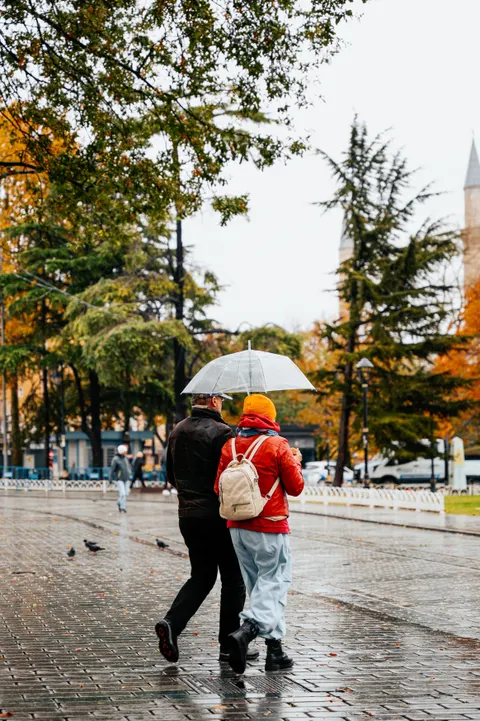 Rain Street Phone Wallpaper · rain · 1440×2160