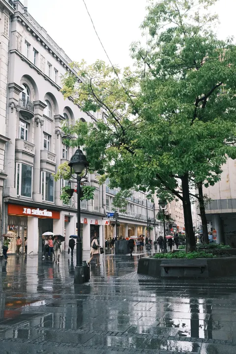 Дождливая улица обои для телефона · rain · 1440×2160
