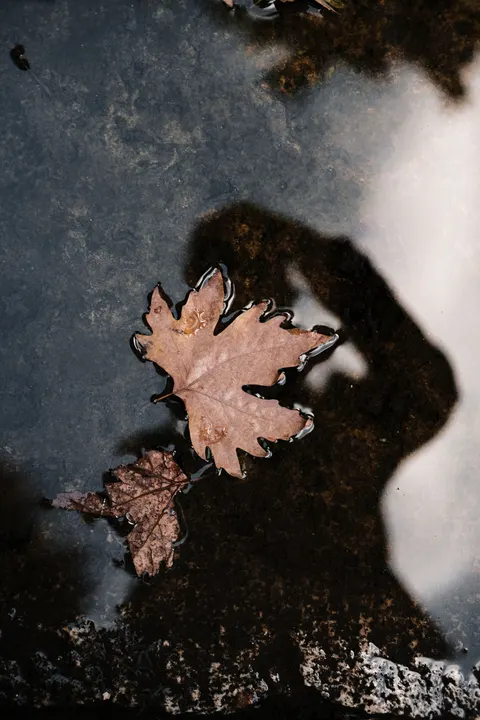 Rain Puddle Phone Wallpaper · rain · 1440×2160
