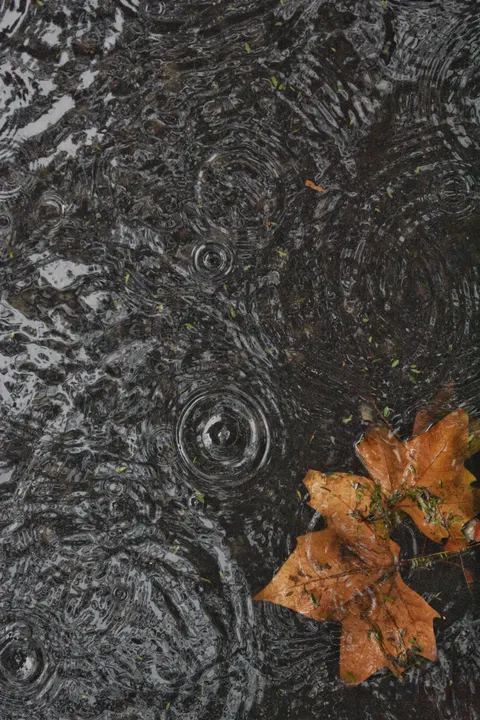Rain Puddle Phone Wallpaper · rain · 1440×2160