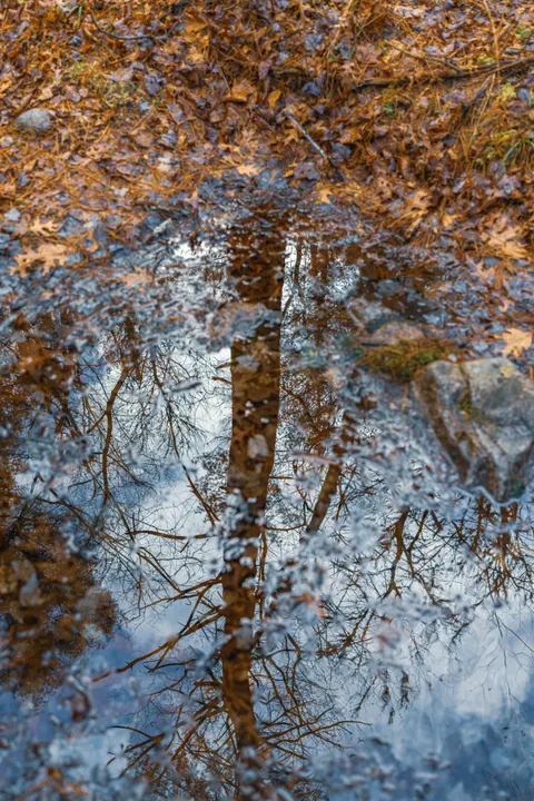 Rain Puddle Phone Wallpaper · rain · 1440×2160