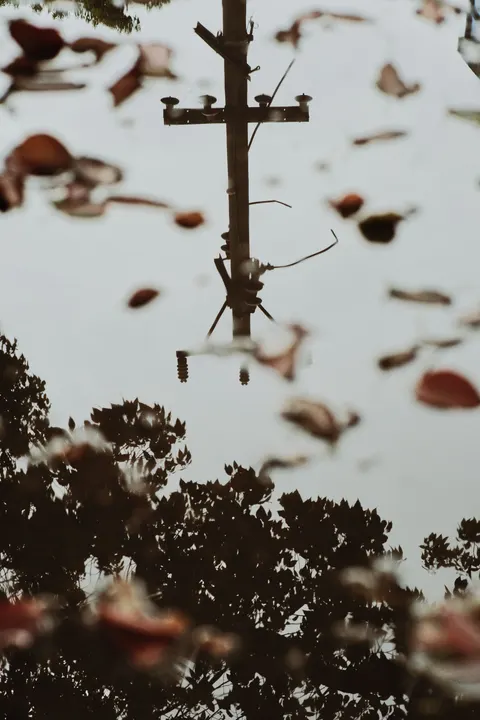 Rain Puddle Phone Wallpaper · rain · 1440×2160