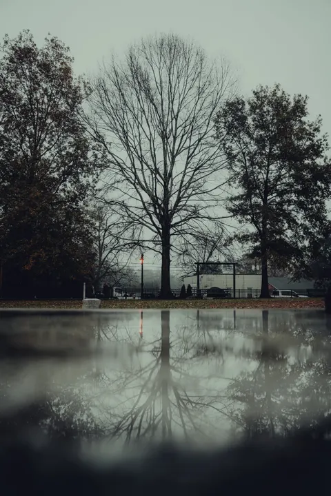 Rain Puddle Phone Wallpaper · rain · 1440×2160