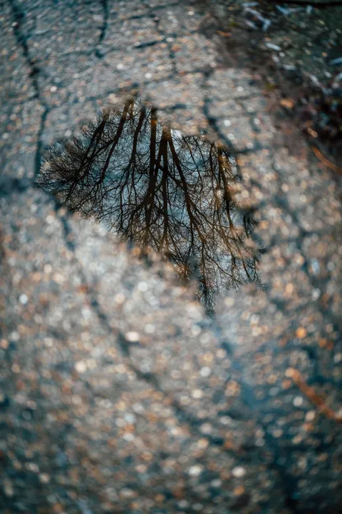Rain Puddle Phone Wallpaper · rain · 1440×2160