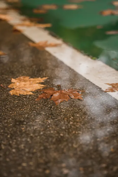 Rain Puddle Phone Wallpaper · rain · 1440×2160