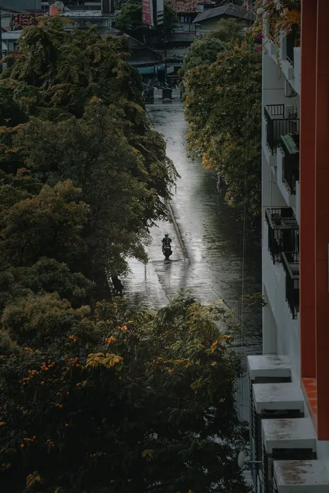 Rain Puddle Phone Wallpaper · rain · 1440×2160