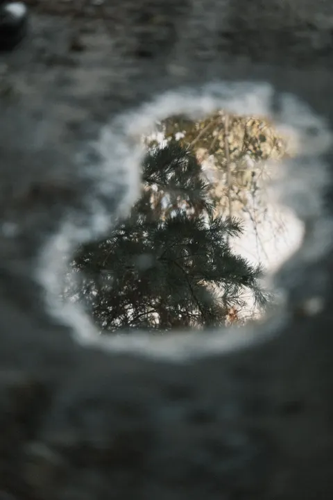 Rain Puddle Phone Wallpaper · rain · 1440×2160