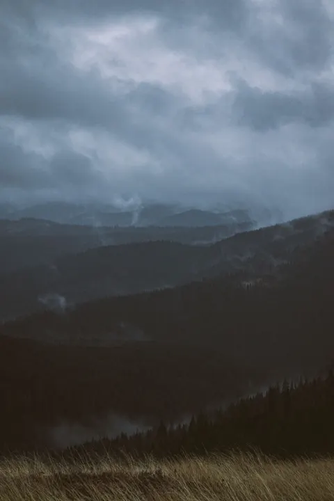 Rain Storm Phone Wallpaper · rain · 1440×2160