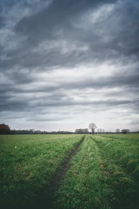 Rain Storm Phone Wallpaper · rain · 1440×2160