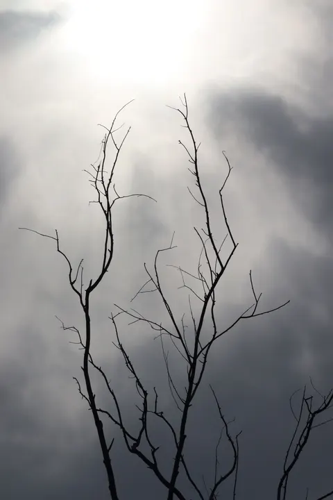 Rain Storm Phone Wallpaper · rain · 1440×2160
