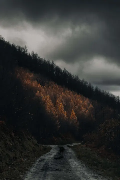 Rain Storm Phone Wallpaper · rain · 1440×2160