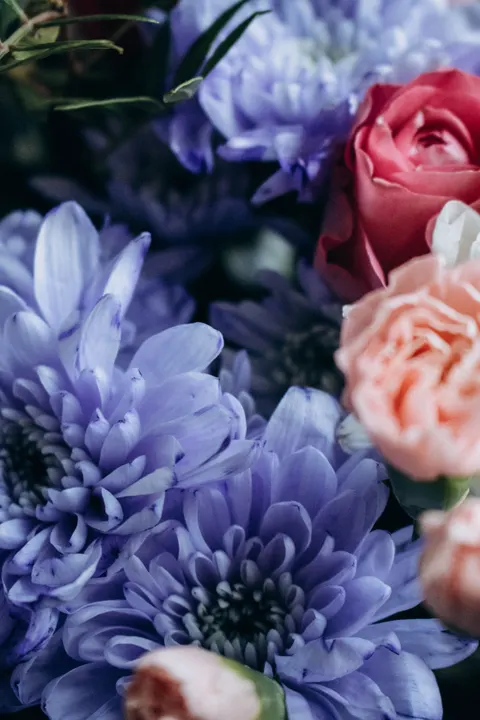 Petals Phone Wallpaper · petals · 1440×2160