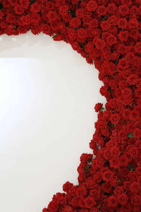 Rose Petals Phone Wallpaper · petals · 1440×2159