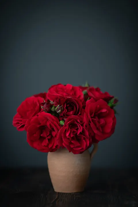 Rose Petals Phone Wallpaper · petals · 1440×2160