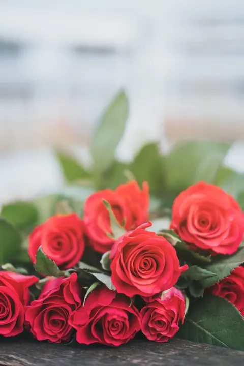 Rose Petals Phone Wallpaper · petals · 1440×2160