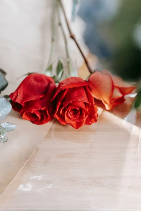 Rose Petals Phone Wallpaper · petals · 1440×2160