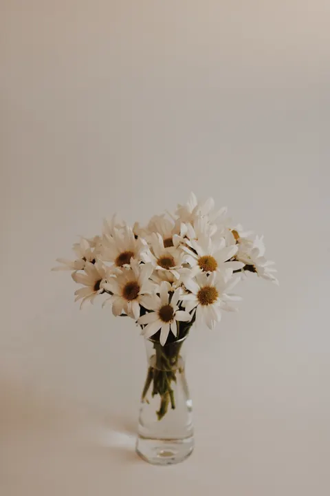 White Blooms Phone Wallpaper · petals · 1440×2160