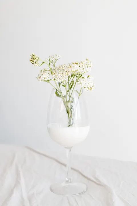 White Blooms Phone Wallpaper · petals · 1440×2160