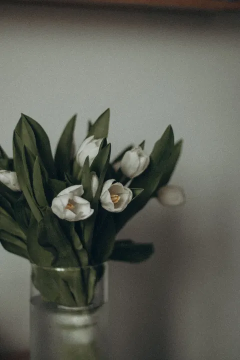 White Blooms Phone Wallpaper · petals · 1440×2160