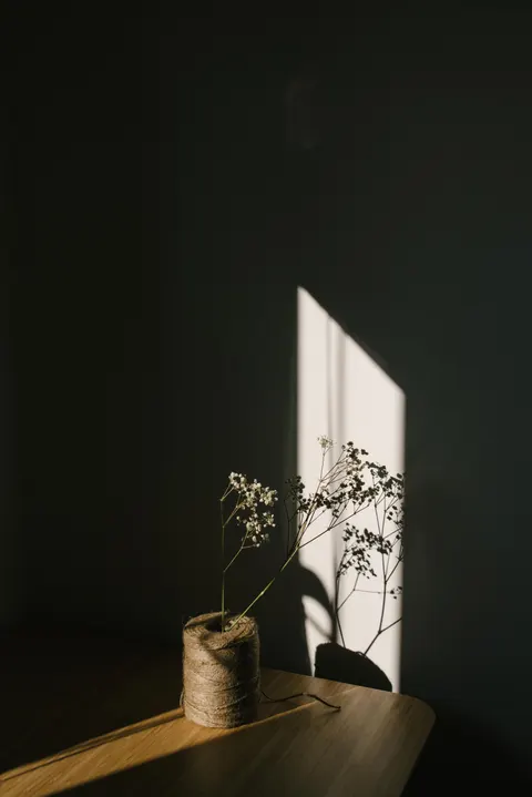 White Blooms Phone Wallpaper · petals · 1440×2157