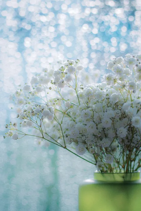 White Blooms Phone Wallpaper · petals · 1440×2160